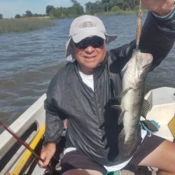 1001_mapa_pique_pesca