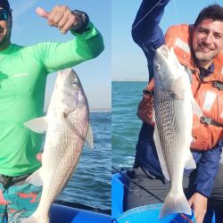 1001_mapa_pique_pesca