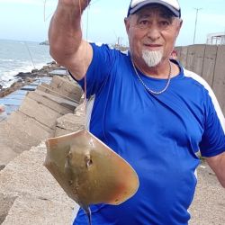 La escollera norte es un destino muy accesible y que suele brindarnos chances de pesca tanto en la parte interna como externa. 