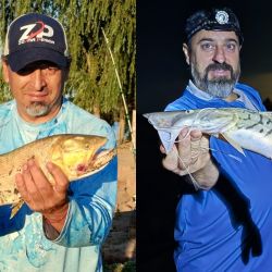 El pesquero brinda un pique excelente, con una muy buena variedad de especies como manduvas, dorados, paties, cachorros, bagres blancos, amarillos y palometas. 