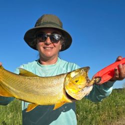 El pesquero brinda un pique excelente, con una muy buena variedad de especies como manduvas, dorados, paties, cachorros, bagres blancos, amarillos y palometas. 