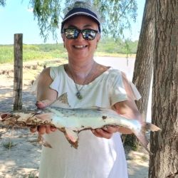 El pesquero brinda un pique excelente, con una muy buena variedad de especies como manduvas, dorados, paties, cachorros, bagres blancos, amarillos y palometas. 