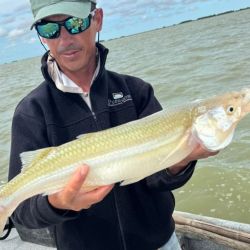 En plena temporada estival, la afluencia de turistas a las playas fue notoria y eso quedó evidenciado en imágenes de balnearios colmados. Afecta la pesca costera y el que se embarca se asegura más los resultados. 