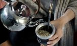 Mate en verano: pros y contras de la infusión 