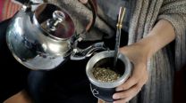 Mate en verano: pros y contras de la infusión 