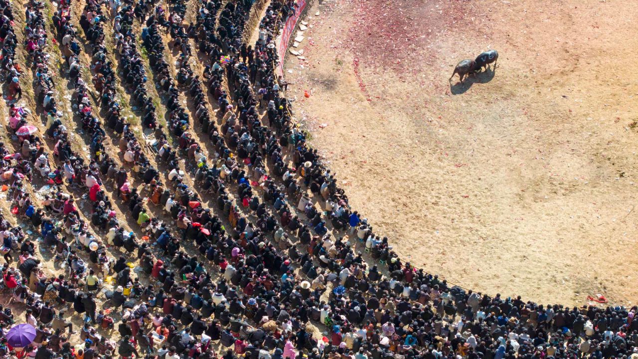 Esta fotografía muestra a los aldeanos viendo una corrida de toros para dar la bienvenida al próximo Año Nuevo Lunar de la Serpiente en el condado de Congjiang, provincia de Guizhou, suroeste de China. | Foto:AFP