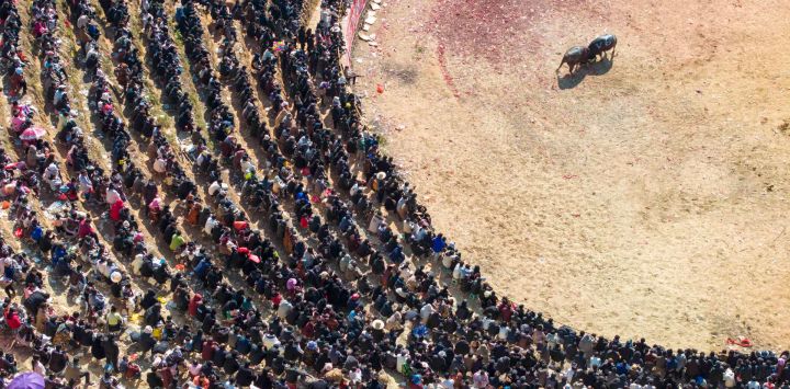 Esta fotografía muestra a los aldeanos viendo una corrida de toros para dar la bienvenida al próximo Año Nuevo Lunar de la Serpiente en el condado de Congjiang, provincia de Guizhou, suroeste de China.