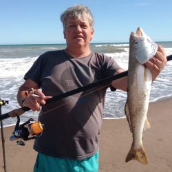 Tras un bajón en los rindes por el clima y la presencia de algas en las playas del partido de Tres Arroyos, en los últimos días se va afirmando la pesca de corvinas y el resto de la variada. 