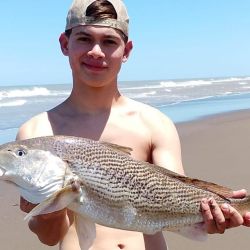 Tras un bajón en los rindes por el clima y la presencia de algas en las playas del partido de Tres Arroyos, en los últimos días se va afirmando la pesca de corvinas y el resto de la variada. 