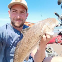 Tras un bajón en los rindes por el clima y la presencia de algas en las playas del partido de Tres Arroyos, en los últimos días se va afirmando la pesca de corvinas y el resto de la variada. 