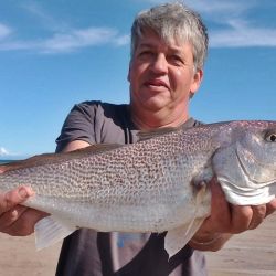 Tras un bajón en los rindes por el clima y la presencia de algas en las playas del partido de Tres Arroyos, en los últimos días se va afirmando la pesca de corvinas y el resto de la variada. 