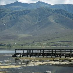 El bajo nivel de agua contribuye a la proliferación de algas, algo que, si bien beneficia a la reproducción de los peces, también podría generar desequilibrios si no se controla adecuadamente.