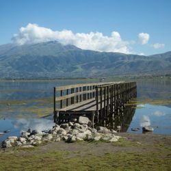 El bajo nivel de agua contribuye a la proliferación de algas, algo que, si bien beneficia a la reproducción de los peces, también podría generar desequilibrios si no se controla adecuadamente.