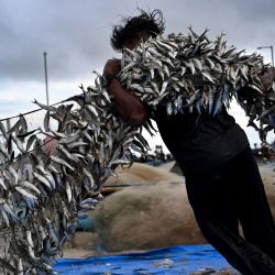Los pescadores descargan sus capturas de un barco tradicional en la playa de Kedonganan, regencia de Badung en la isla turística de Bali. | Foto:SONNY TUMBELAKA / AFP