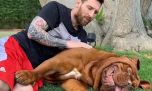 Cuánto sale un dogo de burdeos, la exclusiva raza del perro de Lionel Messi y Antonela Roccuzzo