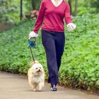 Productos para mascotas de mundo lona. diseño, utilidad, limpieza, además de confort y un descanso completo para tu mascota