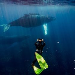 República Dominicana se posiciona como un destino ideal para la práctica deportiva.