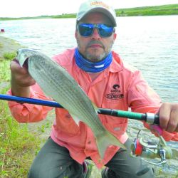 Las lisas toman panza de su misma especie a sólo 30 cm de profundidad, el dato clave que nos ayudó a ir por más ejemplares.