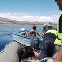 Tras ser evaluado en el hospital de Piedra del Águila, el pescador fue dado de alta con apenas signos de cansancio tras una extenuante caminata de 36 horas en condiciones adversas.