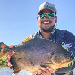 Al pacú, la estrella, se suma que hay mucho dorado, surubí en cantidad y abundante variada en un río que está bajando fuerte.