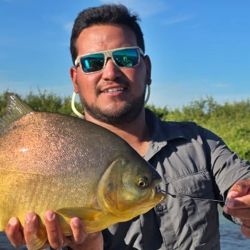 Al pacú, la estrella, se suma que hay mucho dorado, surubí en cantidad y abundante variada en un río que está bajando fuerte.