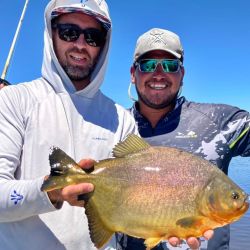 Al pacú, la estrella, se suma que hay mucho dorado, surubí en cantidad y abundante variada en un río que está bajando fuerte.