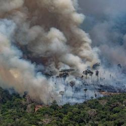 Imagen aérea difundida por Greenpeace que muestra columnas de humo provenientes de los incendios forestales en el municipio de Candeias do Jamari, cerca de Porto Velho en el estado de Rondonia, en la cuenca del Amazonas en el noroeste de Brasil. | Foto:Victor Moriyama / GREENPEACE / AFP