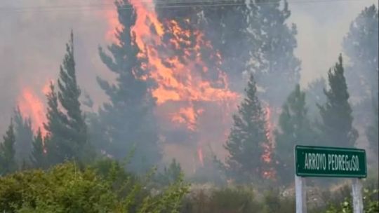 Alertan que los incendios en el Parque Nacional Nahuel Huapi pararían completamente recién en abril