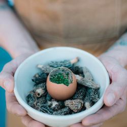 Duvan Ochoa - Las Balsas