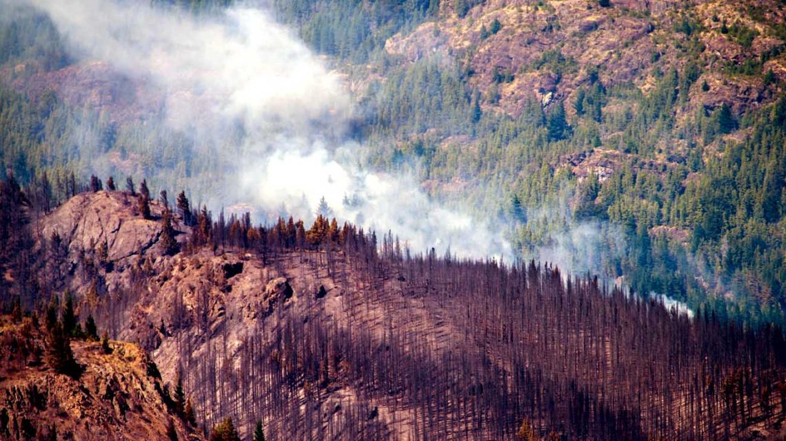 Fires in Epuyén.