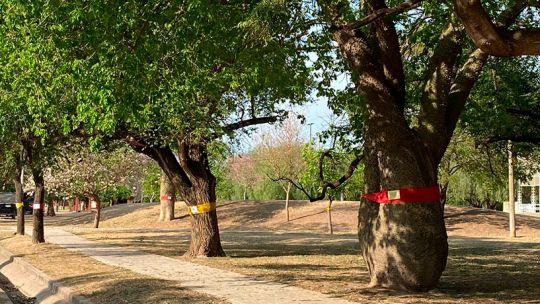 Nueva sede de la UPC en Morteros: el intendente justifica la obra y los vecinos siguen con las movilizaciones