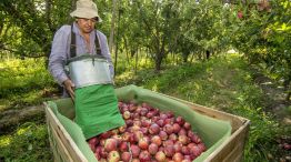 trabajadores rurales