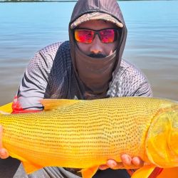 En este pesquero santafesino, desde hace unos 15 a 20 días, todo pasa por la pesca con carnada en la región, en un río que bajó mucho, se enturbió y aun así mantiene los buenos rindes.