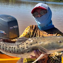En este pesquero santafesino, desde hace unos 15 a 20 días, todo pasa por la pesca con carnada en la región, en un río que bajó mucho, se enturbió y aun así mantiene los buenos rindes.