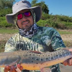 En este pesquero santafesino, desde hace unos 15 a 20 días, todo pasa por la pesca con carnada en la región, en un río que bajó mucho, se enturbió y aun así mantiene los buenos rindes.