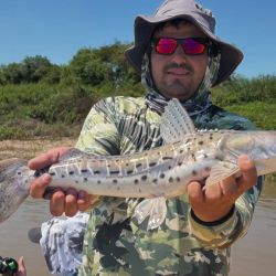 En este pesquero santafesino, desde hace unos 15 a 20 días, todo pasa por la pesca con carnada en la región, en un río que bajó mucho, se enturbió y aun así mantiene los buenos rindes.