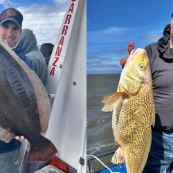 Las corvinas rubias  ya están firmes, aún sin la abundancia ideal, pero se empezaron a dar cantidades aceptables de capturas que pueden estar entre los 3 y 6 kg, verdaderas doradas gigantes que son un imán para el pescador.