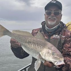 Las corvinas rubias  ya están firmes, aún sin la abundancia ideal, pero se empezaron a dar cantidades aceptables de capturas que pueden estar entre los 3 y 6 kg, verdaderas doradas gigantes que son un imán para el pescador.