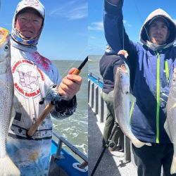 Las corvinas rubias  ya están firmes, aún sin la abundancia ideal, pero se empezaron a dar cantidades aceptables de capturas que pueden estar entre los 3 y 6 kg, verdaderas doradas gigantes que son un imán para el pescador.