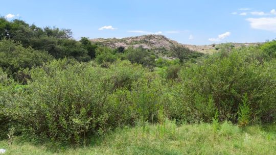 humedal-carlos-paz-1