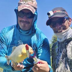 Tarariras, dorados y palometas dominaron la acción en la salida pesquera por inhóspitos e intricados pesqueros de Baradero.