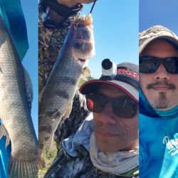 Tarariras, dorados y palometas dominaron la acción en la salida pesquera por inhóspitos e intricados pesqueros de Baradero.