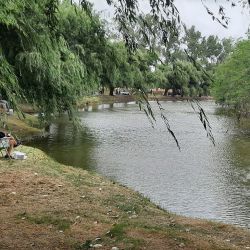 En su edición N° 16, el Club de Pesca y Lanzamiento de Tapalqué volvió a realizar un muy buen concurso, con importante concurrencia y la estrella del torneo presente. Foto: (Horacio Pascuariello).
