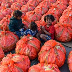 Los niños juegan junto a sacos de zanahorias dispuestos para la venta, en un mercado mayorista de verduras en Jalandhar. Foto de Shammi MEHRA / AFP | Foto:AFP