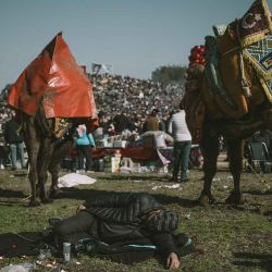 Un dueño de camello duerme durante el Festival de Lucha de Camellos de Selcuk en la ciudad de Selcuk,  en el oeste de Turquía. Foto de Ozan KOSE / AFP | Foto:AFP