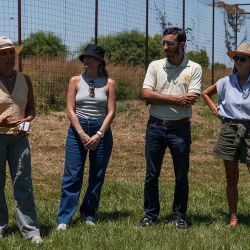 Liberaron a un yaguareté en el Parque Iberá que nació en El Impenetrable chaqueño.