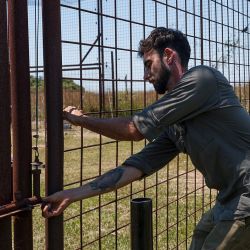 Liberaron a un yaguareté en el Parque Iberá que nació en El Impenetrable chaqueño.