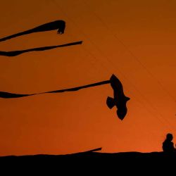 La gente observa a los participantes volar cometas durante el Festival de Cometas de Qatar en Doha. Foto de Karim JAAFAR / AFP | Foto:AFP