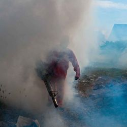 Un trabajador rocía repelente de mosquitos como parte de una campaña de prevención contra el dengue en Banda Aceh. Foto de CHAIDEER MAHYUDDIN / AFP | Foto:AFP