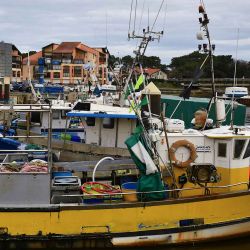 Esta fotografía muestra barcos pesqueros amarrados en el puerto durante la prohibición de pesca en Capbreton. Foto de Gaizka IROZ / AFP | Foto:AFP